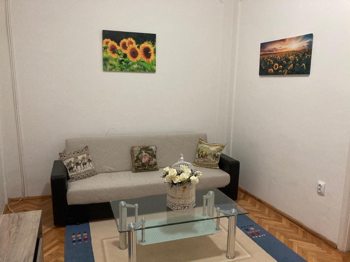 Irina Apartments 皮特什蒂 外观 照片